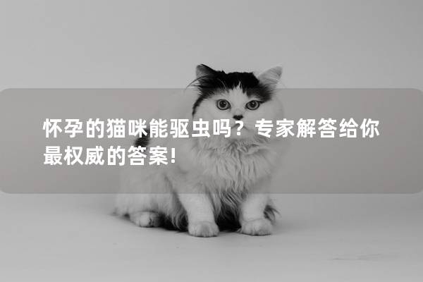 怀孕的猫咪能驱虫吗？专家解答给你最权威的答案!