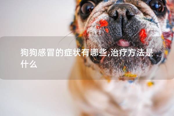 狗狗感冒的症状有哪些,治疗方法是什么