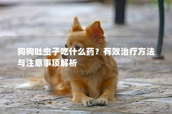 狗狗吐虫子吃什么药?有效治疗方法与注意事项解析