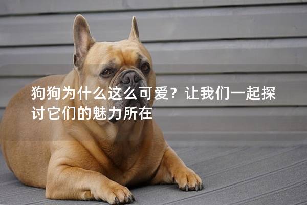 狗狗为什么这么可爱？让我们一起探讨它们的魅力所在