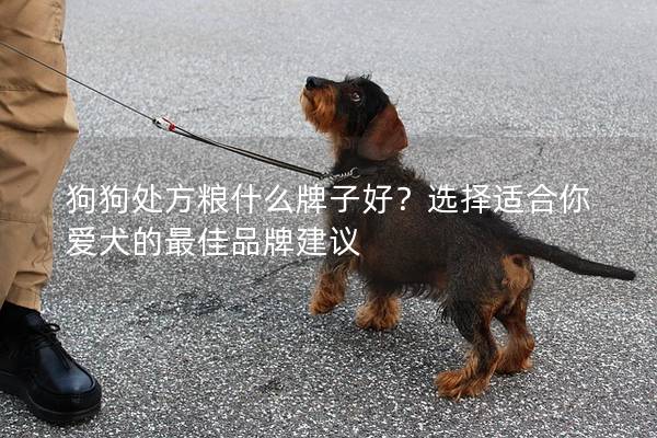 狗狗处方粮什么牌子好？选择适合你爱犬的最佳品牌建议