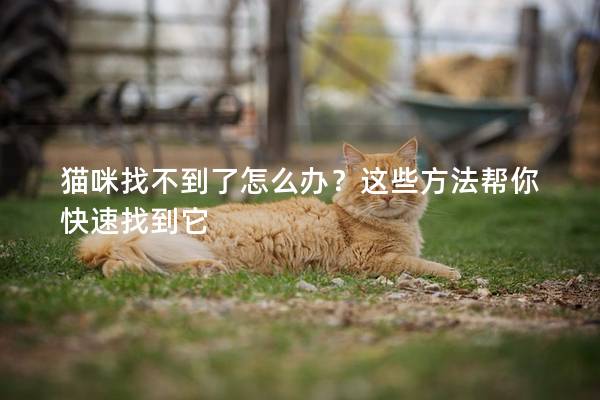 猫咪找不到了怎么办？这些方法帮你快速找到它