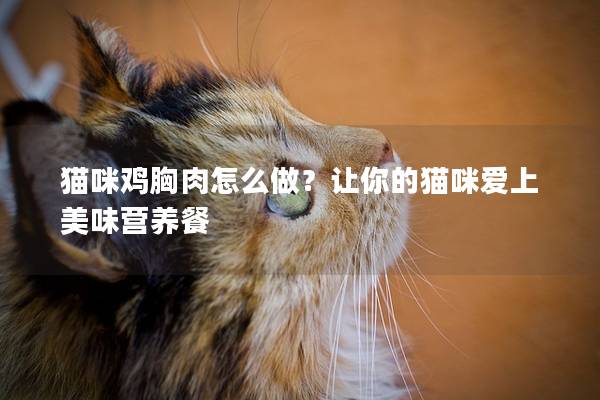 猫咪鸡胸肉怎么做？让你的猫咪爱上美味营养餐