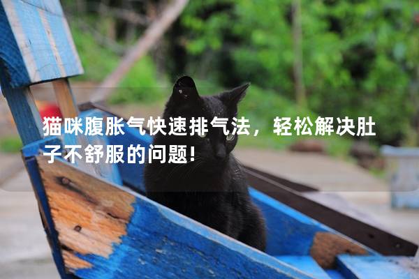 猫咪腹胀气快速排气法，轻松解决肚子不舒服的问题!