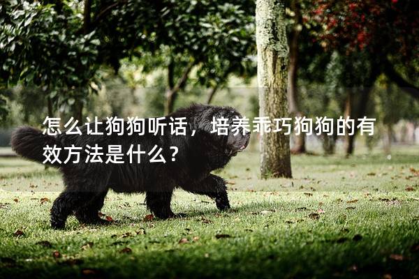 怎么让狗狗听话，培养乖巧狗狗的有效方法是什么？