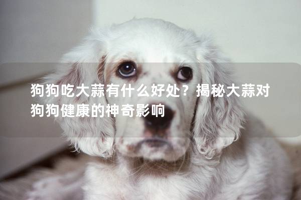 狗狗吃大蒜有什么好处？揭秘大蒜对狗狗健康的神奇影响