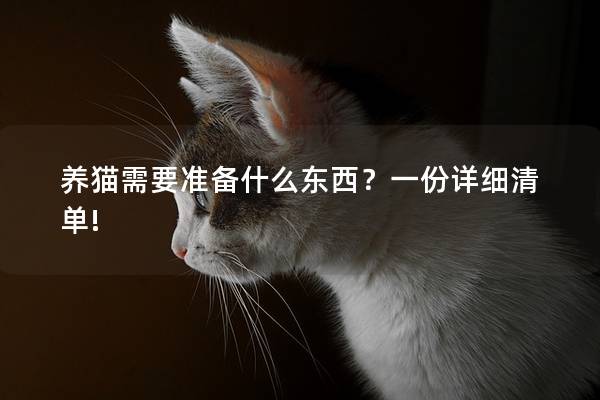 养猫需要准备什么东西？一份详细清单!