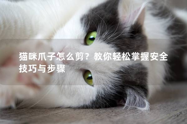 猫咪爪子怎么剪？教你轻松掌握安全技巧与步骤