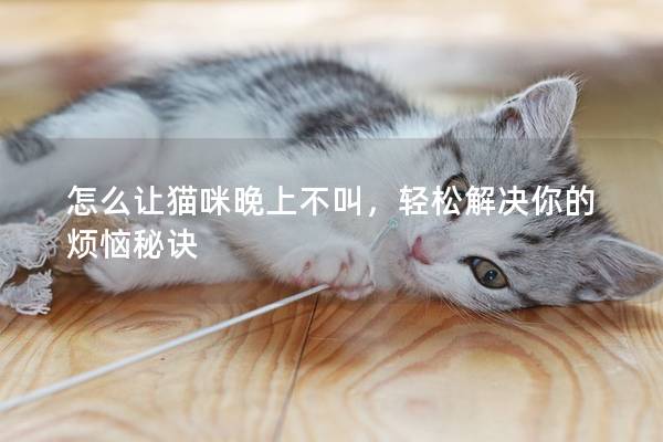 怎么让猫咪晚上不叫，轻松解决你的烦恼秘诀