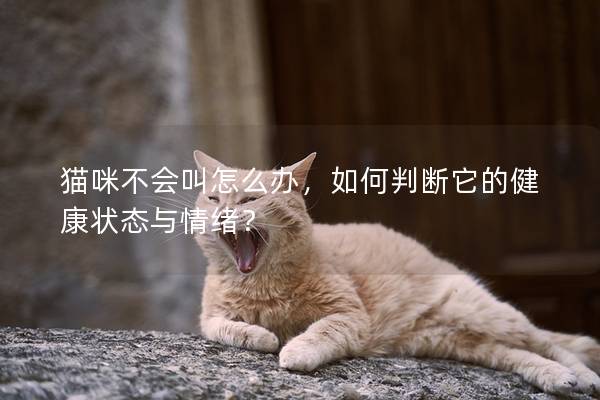 猫咪不会叫怎么办，如何判断它的健康状态与情绪？