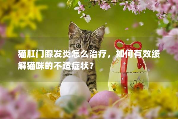 猫肛门腺发炎怎么治疗，如何有效缓解猫咪的不适症状？