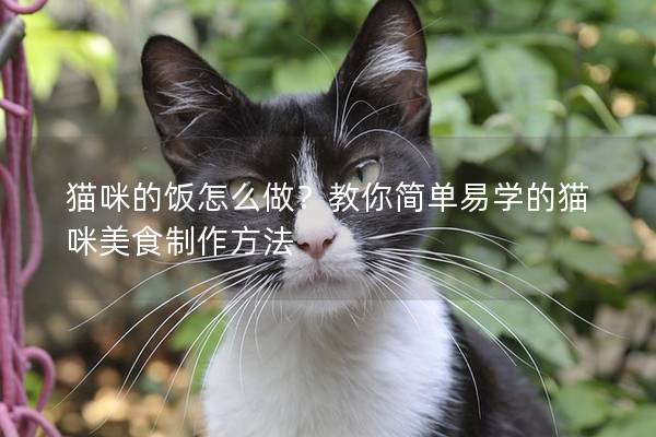 猫咪的饭怎么做？教你简单易学的猫咪美食制作方法