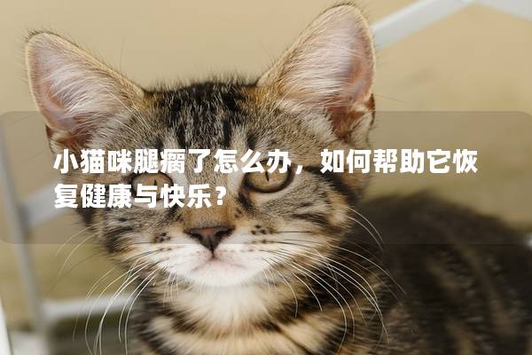 小猫咪腿瘸了怎么办，如何帮助它恢复健康与快乐？