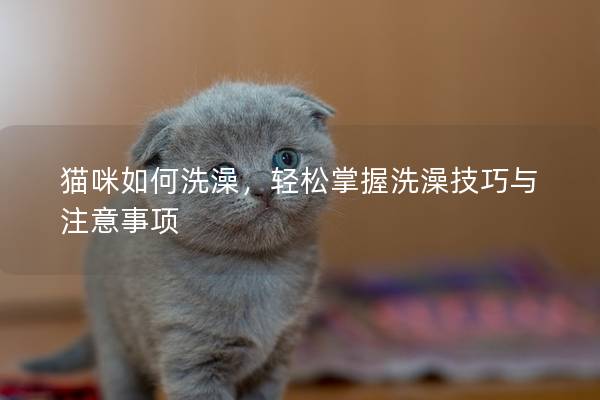 猫咪如何洗澡，轻松掌握洗澡技巧与注意事项