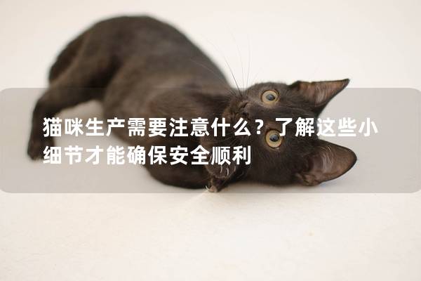 猫咪生产需要注意什么？了解这些小细节才能确保安全顺利