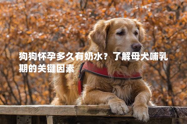 狗狗怀孕多久有奶水？了解母犬哺乳期的关键因素