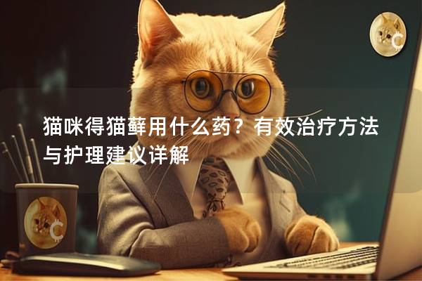 猫咪得猫藓用什么药？有效治疗方法与护理建议详解