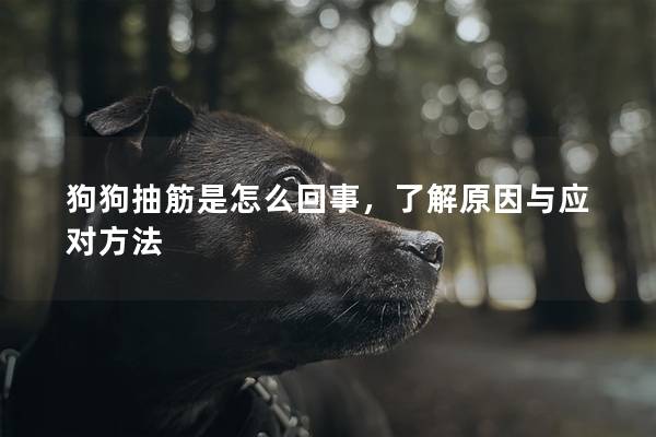 狗狗抽筋是怎么回事，了解原因与应对方法