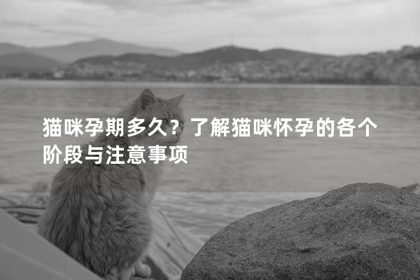 猫咪孕期多久？了解猫咪怀孕的各个阶段与注意事项