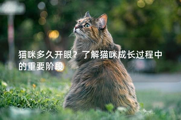 猫咪多久开眼？了解猫咪成长过程中的重要阶段