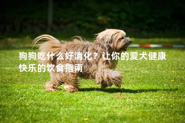 狗狗吃什么好消化？让你的爱犬健康快乐的饮食指南