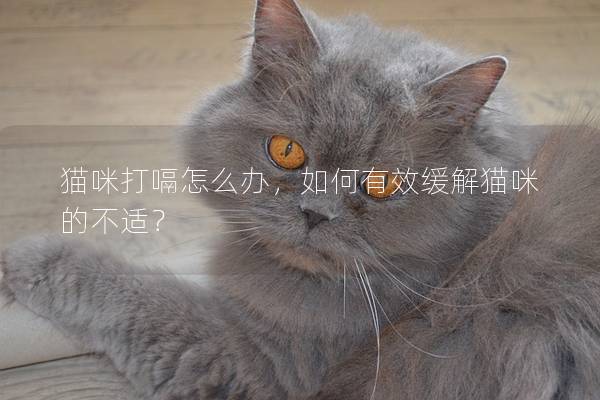 猫咪打嗝怎么办,如何有效缓解猫咪的不适?