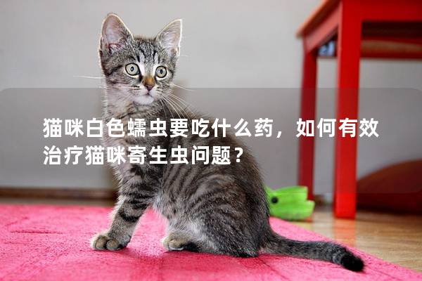 猫咪白色蠕虫要吃什么药，如何有效治疗猫咪寄生虫问题？