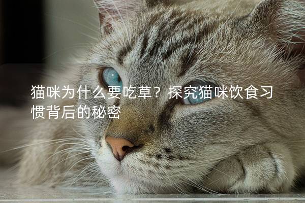 猫咪为什么要吃草？探究猫咪饮食习惯背后的秘密