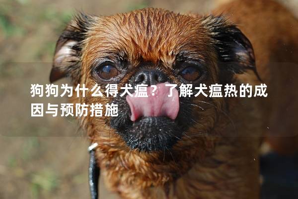 狗狗为什么得犬瘟？了解犬瘟热的成因与预防措施