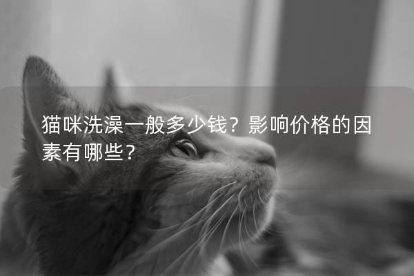 猫咪洗澡一般多少钱？影响价格的因素有哪些？