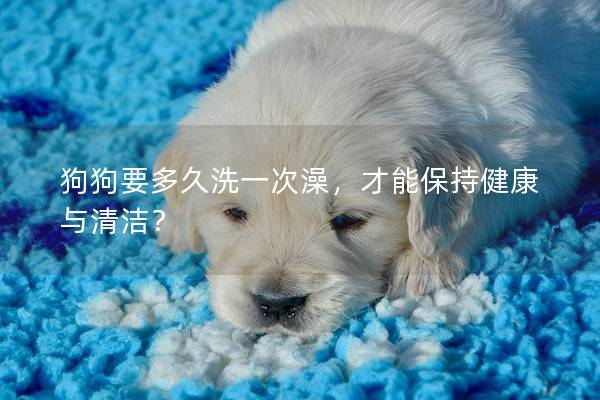 狗狗要多久洗一次澡，才能保持健康与清洁？