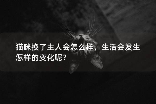 猫咪换了主人会怎么样，生活会发生怎样的变化呢？