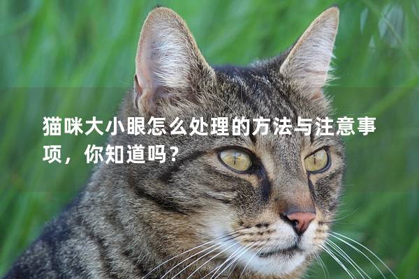 猫咪大小眼怎么处理的方法与注意事项，你知道吗？