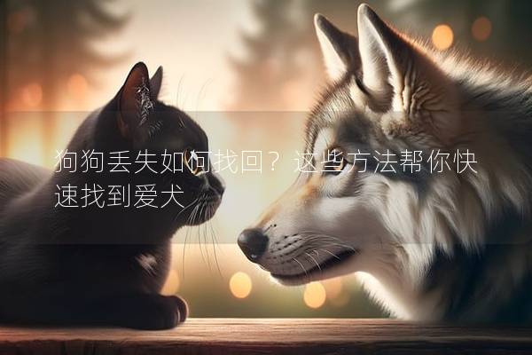 狗狗丢失如何找回？这些方法帮你快速找到爱犬