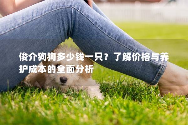 俊介狗狗多少钱一只？了解价格与养护成本的全面分析