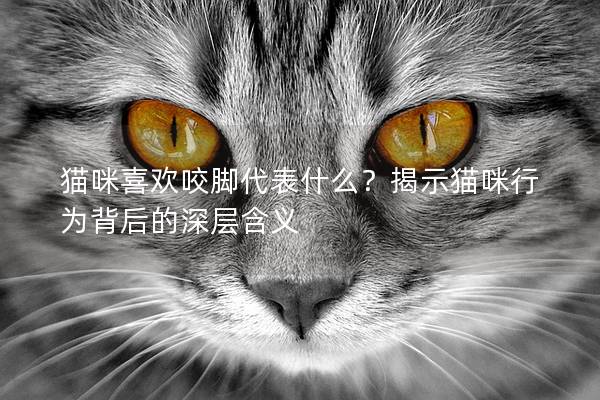 猫咪喜欢咬脚代表什么？揭示猫咪行为背后的深层含义