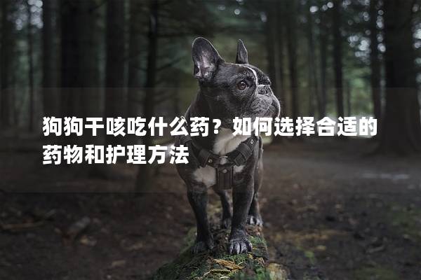 狗狗干咳吃什么药？如何选择合适的药物和护理方法