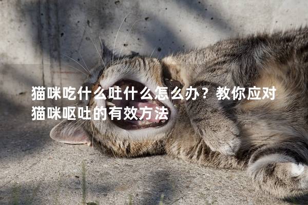 猫咪吃什么吐什么怎么办？教你应对猫咪呕吐的有效方法