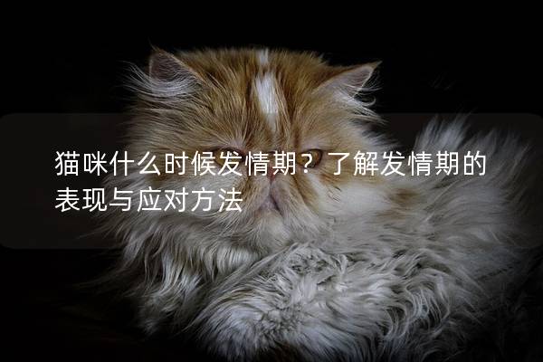 猫咪什么时候发情期？了解发情期的表现与应对方法