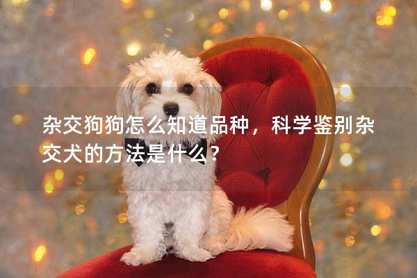 杂交狗狗怎么知道品种，科学鉴别杂交犬的方法是什么？