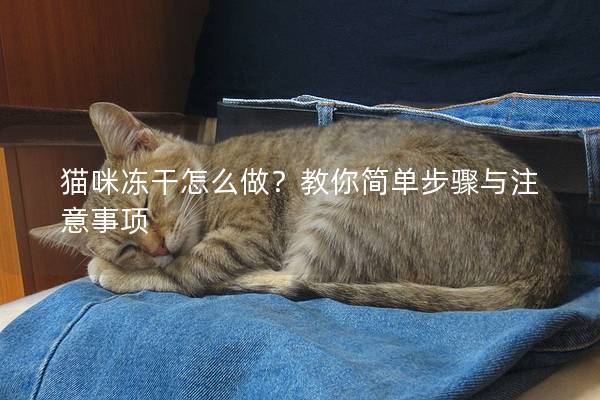 猫咪冻干怎么做？教你简单步骤与注意事项