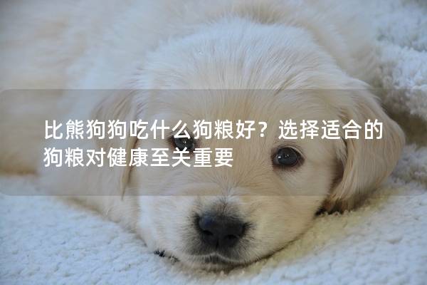 比熊狗狗吃什么狗粮好？选择适合的狗粮对健康至关重要