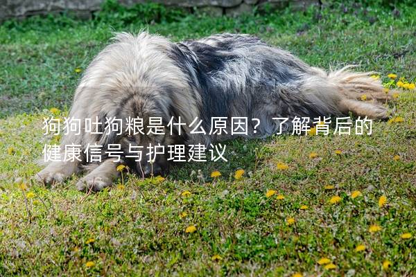 狗狗吐狗粮是什么原因？了解背后的健康信号与护理建议