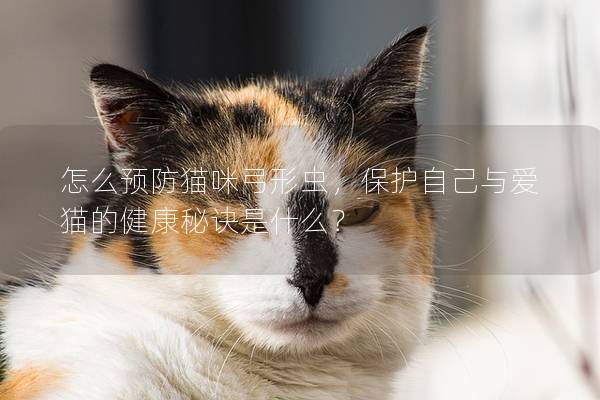 怎么预防猫咪弓形虫，保护自己与爱猫的健康秘诀是什么？