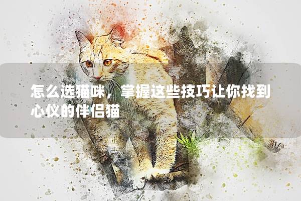 怎么选猫咪，掌握这些技巧让你找到心仪的伴侣猫