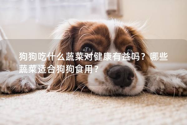 狗狗吃什么蔬菜对健康有益吗？哪些蔬菜适合狗狗食用？