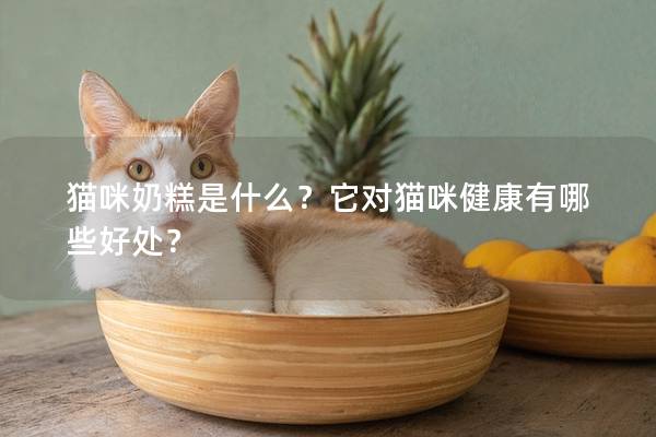 猫咪奶糕是什么？它对猫咪健康有哪些好处？