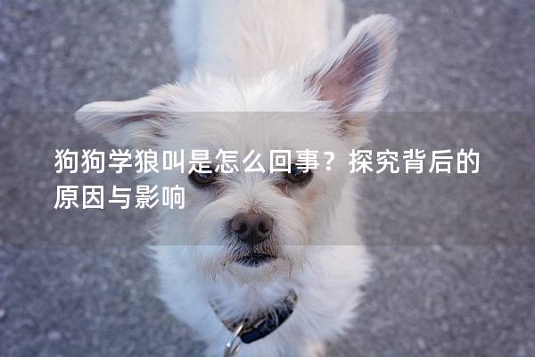 狗狗学狼叫是怎么回事？探究背后的原因与影响