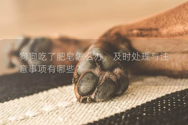 狗狗吃了肥皂怎么办，及时处理与注意事项有哪些？