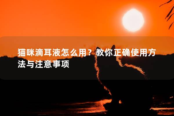 猫咪滴耳液怎么用？教你正确使用方法与注意事项